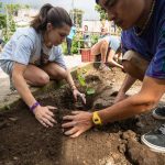 Lake Atitlán for Student Groups: Complete Educational Travel & Service Learning Guide