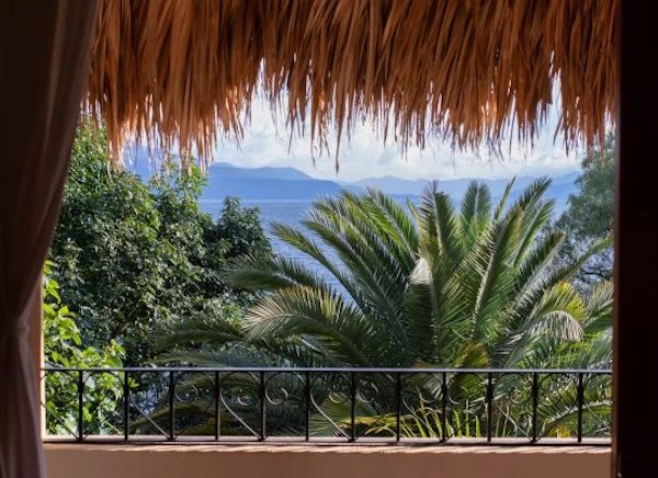 Reforestation site showing planted area