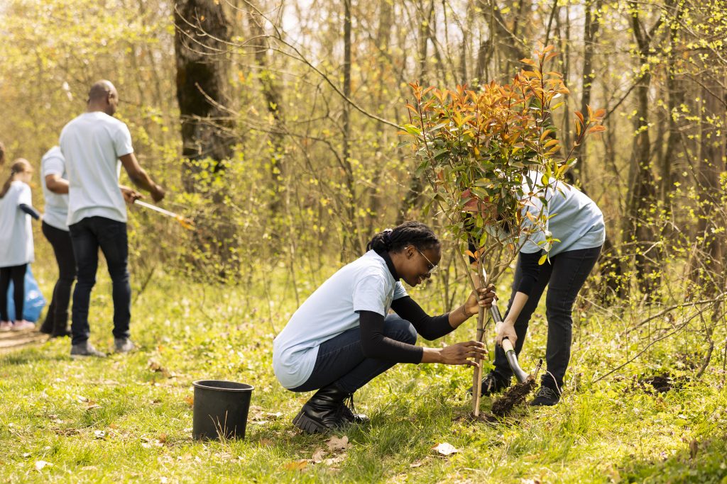 Reforestation site with volunteers