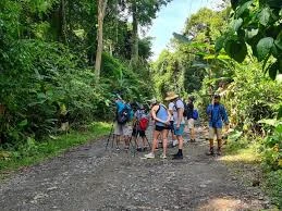 Students hiking through cloud forest