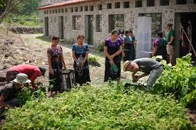 Students planting trees with Wellkind Guatemala staff