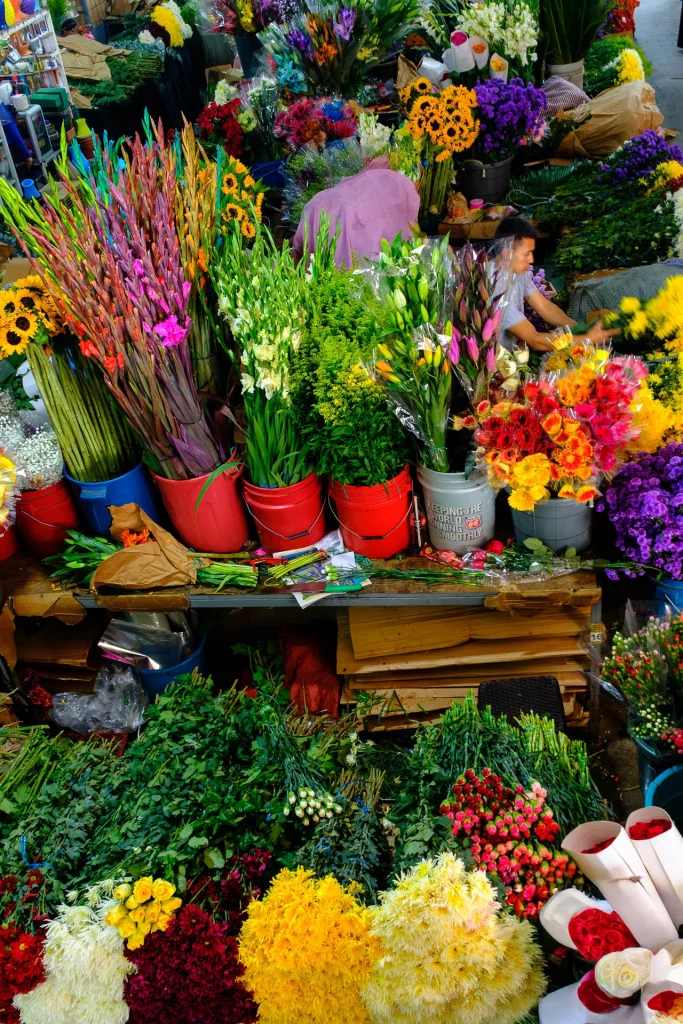 Tree nursery operations with women's cooperative