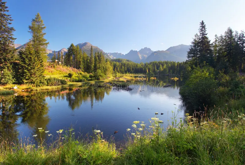 nature-mountain-scene-beautiful-lake-slovakia-tatra-29395938